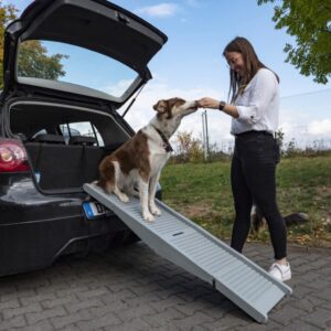 Faltbare Hunderampe für Hunde bis 40kg