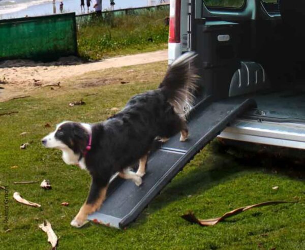 Hunderampe Zora bis 100 kg schwarz