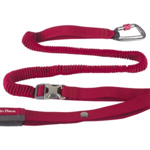 Mountain Paws Leine Shock Absorber rot