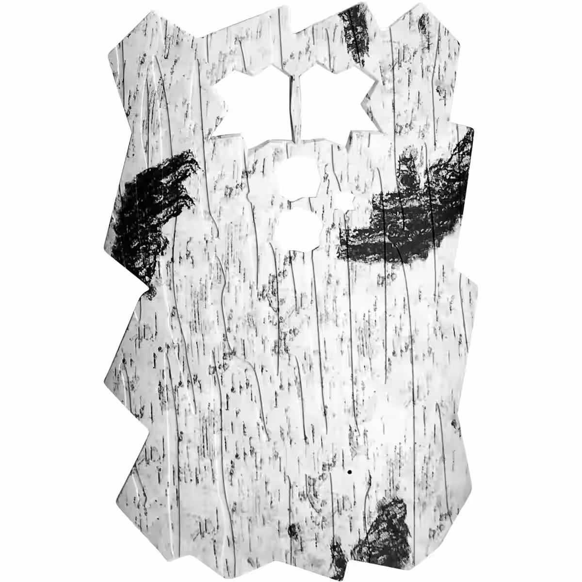 Minox DTC 460 Frontblende 1 Minox DTC 460 Frontblende